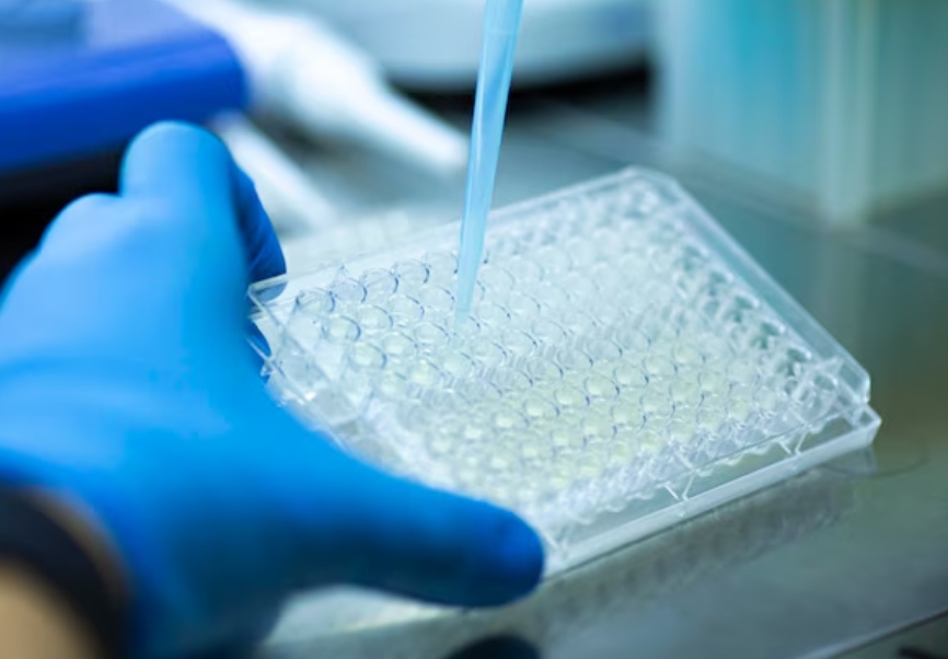 Choosing the Right PCR Plates for Your Lab