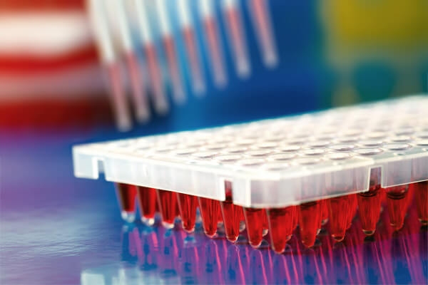 PCR Plates for Molecular Diagnostics and Pathogen Detection