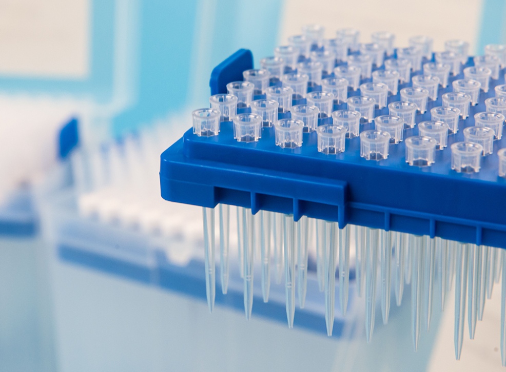 1000ul Racked, Sterile, Filtered Pipette Tips for Contamination Control