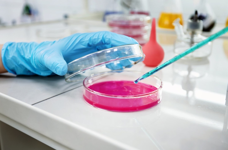 Serological Pipettes for Cell Culture and Media Preparation