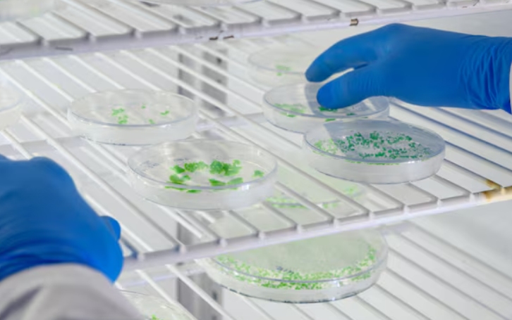 Automated, innovative, efficient solutions for precision biomedical consumables