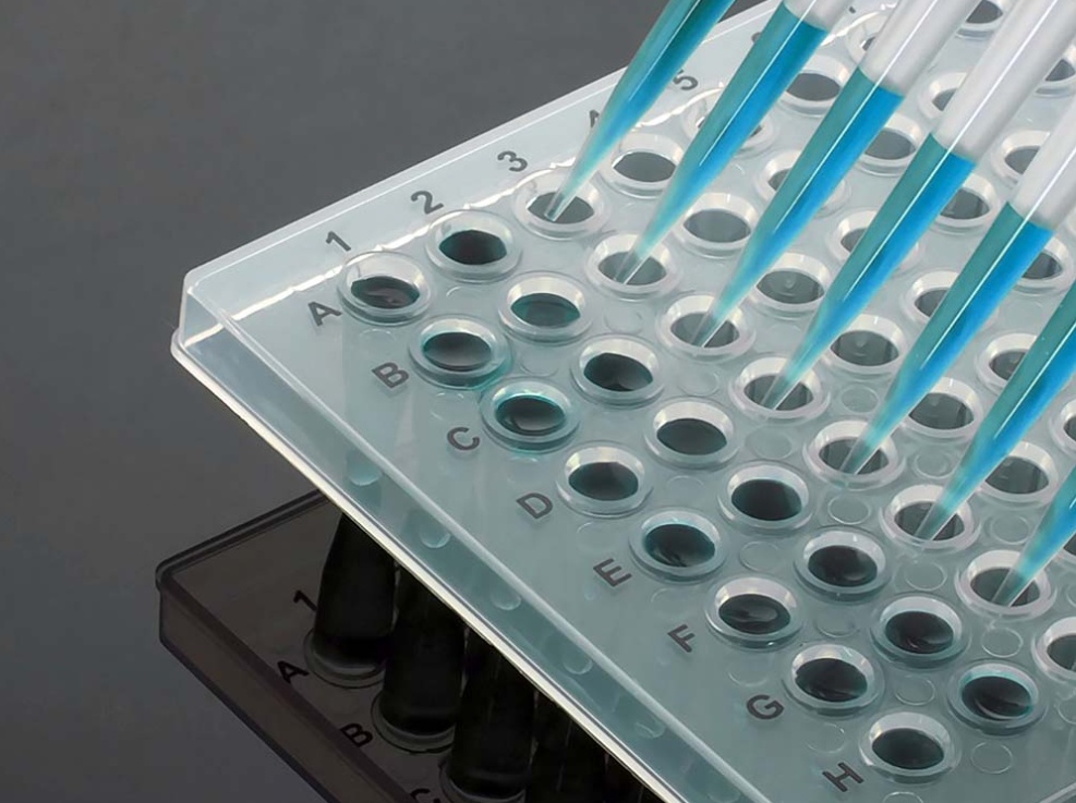Decision matrix for choosing the right PCR plate format