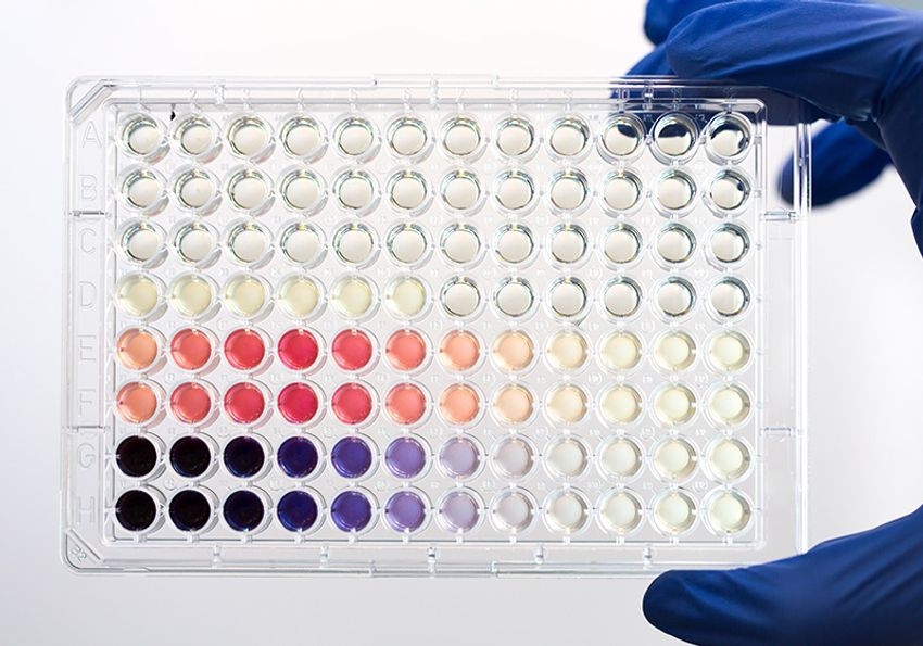 The Guide to PCR Plate Handling for Consistent Lab Results