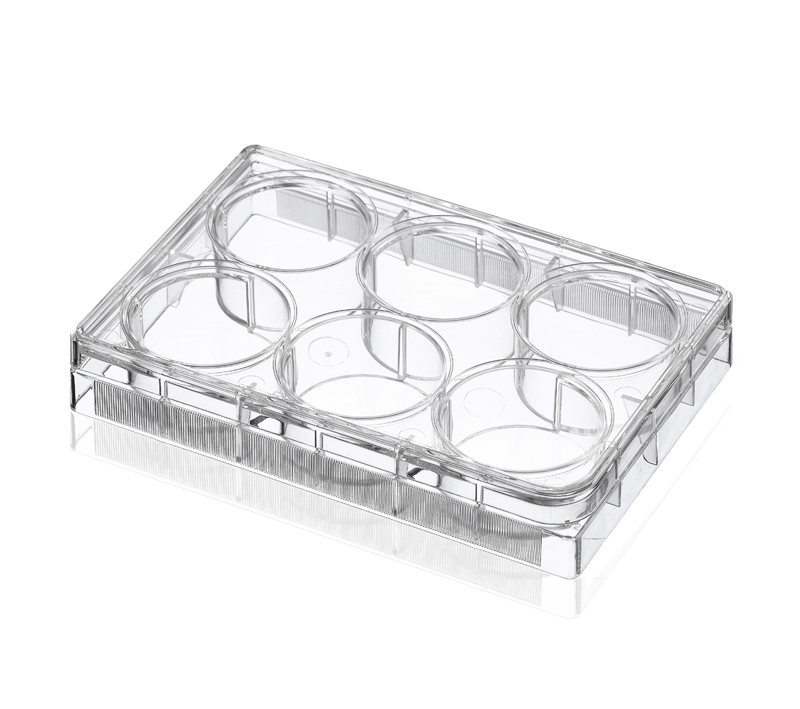 Uniform, treated surfaces ensure consistent cell culture growth results