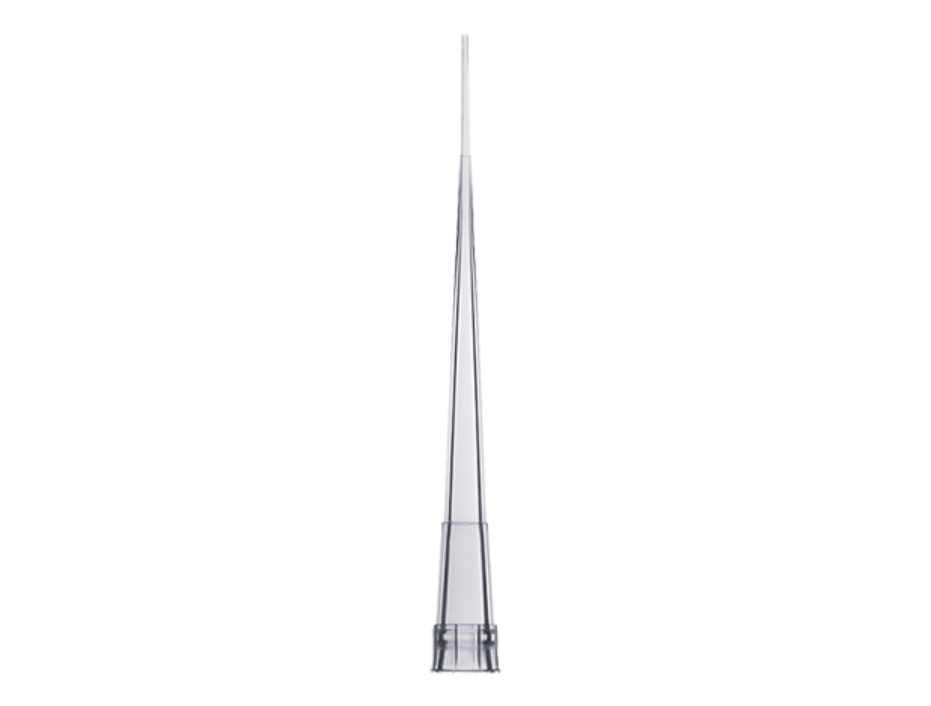 10 uL round gel tips for precise electrophoresis loading