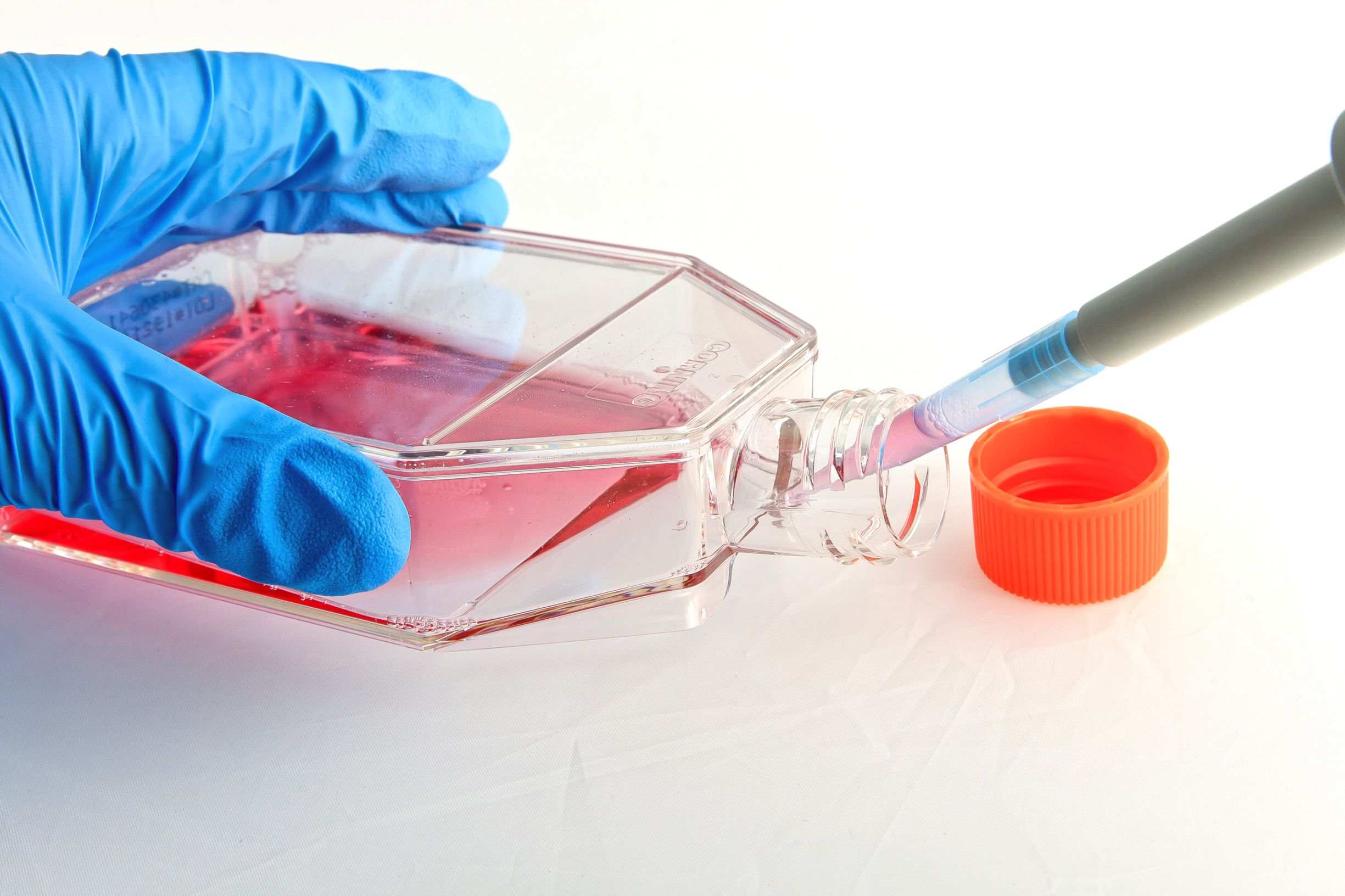 Cell culture flask scaling based on optimal confluency benchmarks