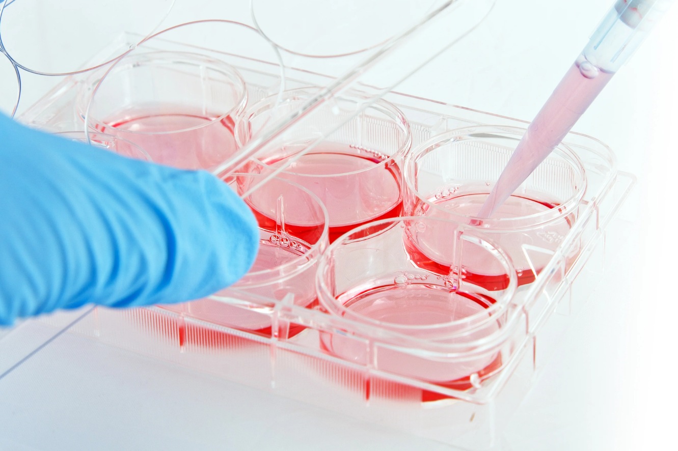 Cell Culture Plates Selection Guide for Life Science Labs