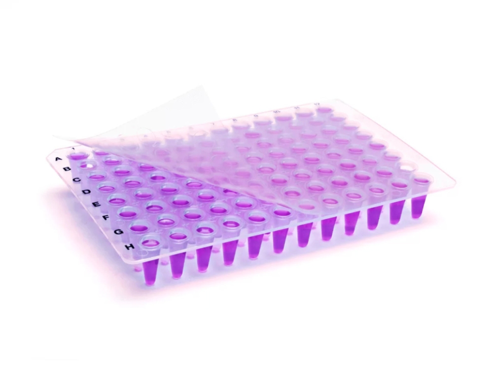 Clear qPCR sealing films protect samples and fluorescence accuracy