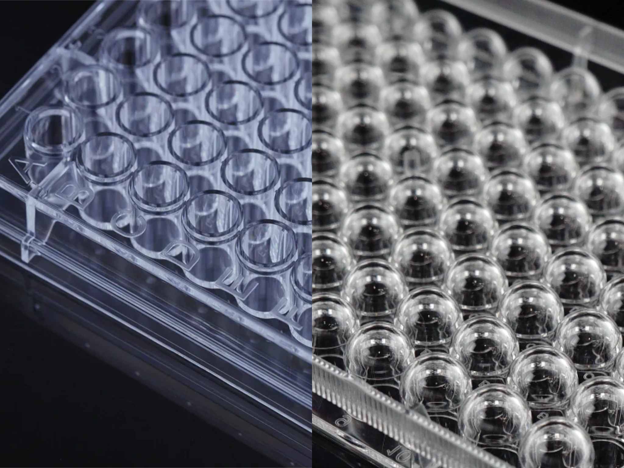 Flat Bottom vs U-Bottom Cell Culture Plates for Assay Sensitivity Optimization