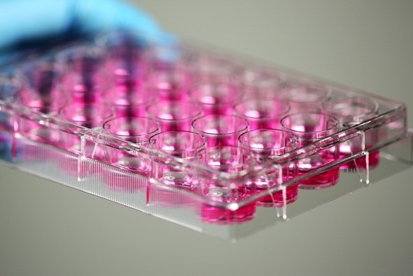 Flat and U-bottom plates optimize assay signal consistency and cell aggregation