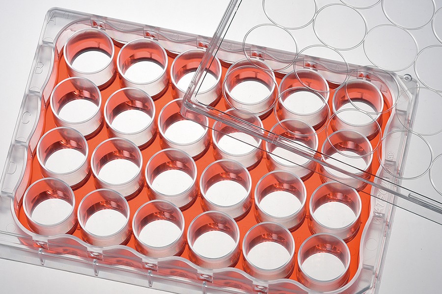 Flat bottom and U-bottom cell culture plates for different assay applications
