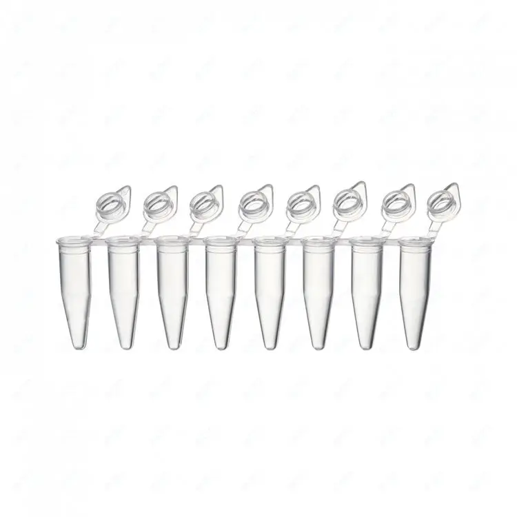 125 Strisce PCR Da 0,1 Ml Con Tappo Piatto – Tubi A Parete Sottile In Polipropilene, Trasparenti, Autoclavabili, Per Laboratorio Di Biologia Molecolare