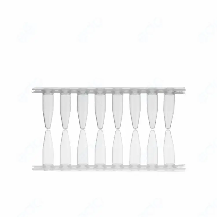 8 strip PCR tube3 (2)