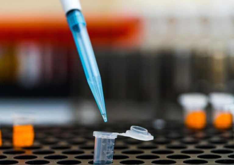 1000ul micropipette tip is the workhorse of liquid handling