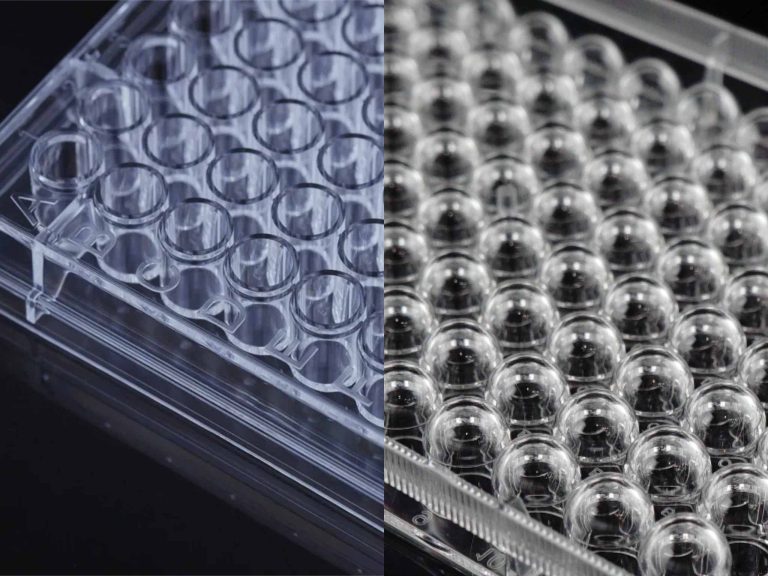 Flat Bottom vs U-Bottom Cell Culture Plates for Assay Sensitivity Optimization