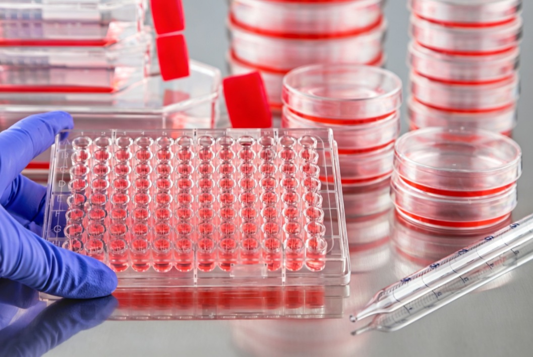 How TC-Treated & Non-Treated Cell Culture Vessels Impacts Adherent Cell Yields
