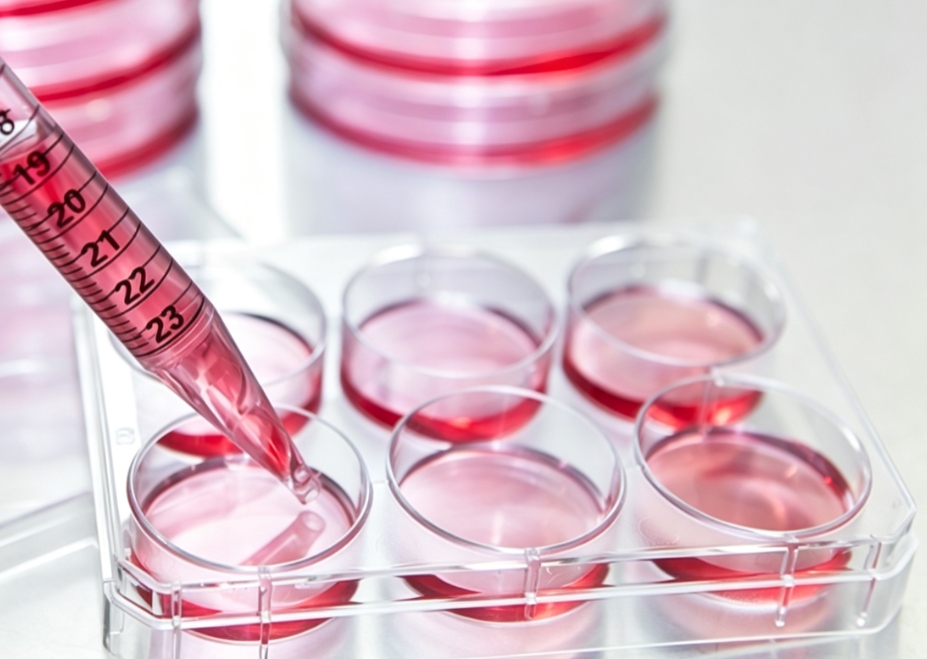 TC-treated and non-treated vessels for cell culture applications
