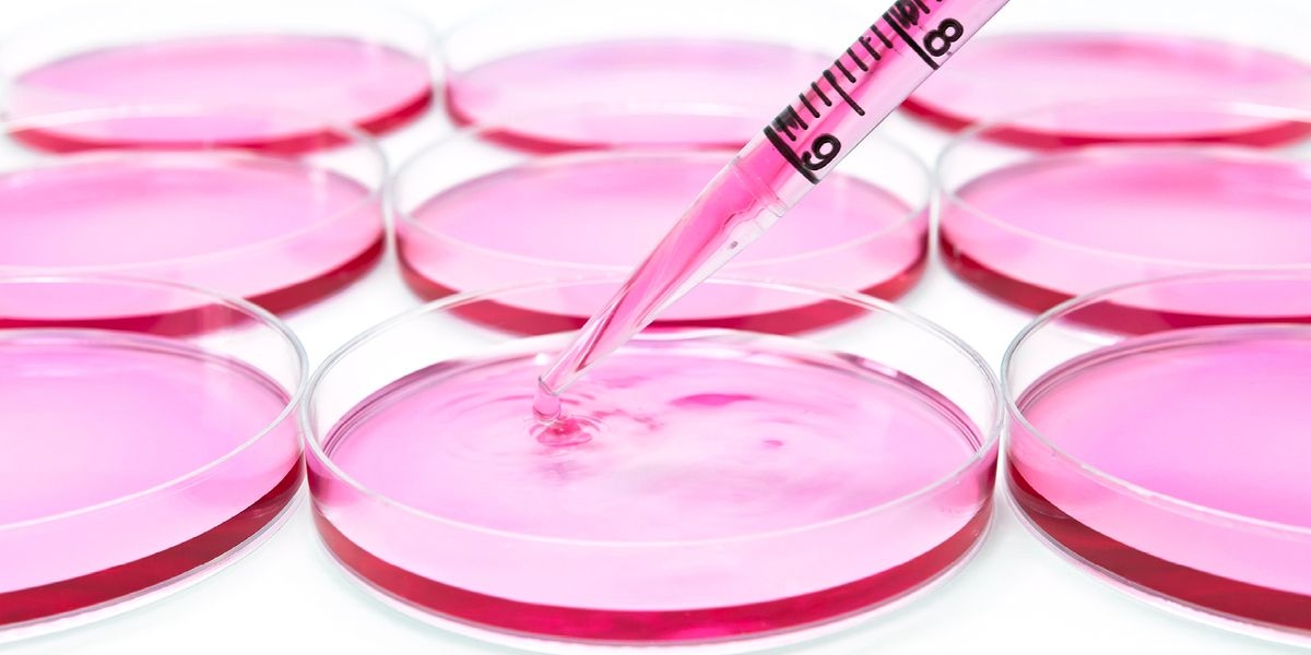 Vacuum-plasma treated cell culture vessels for biomedical research