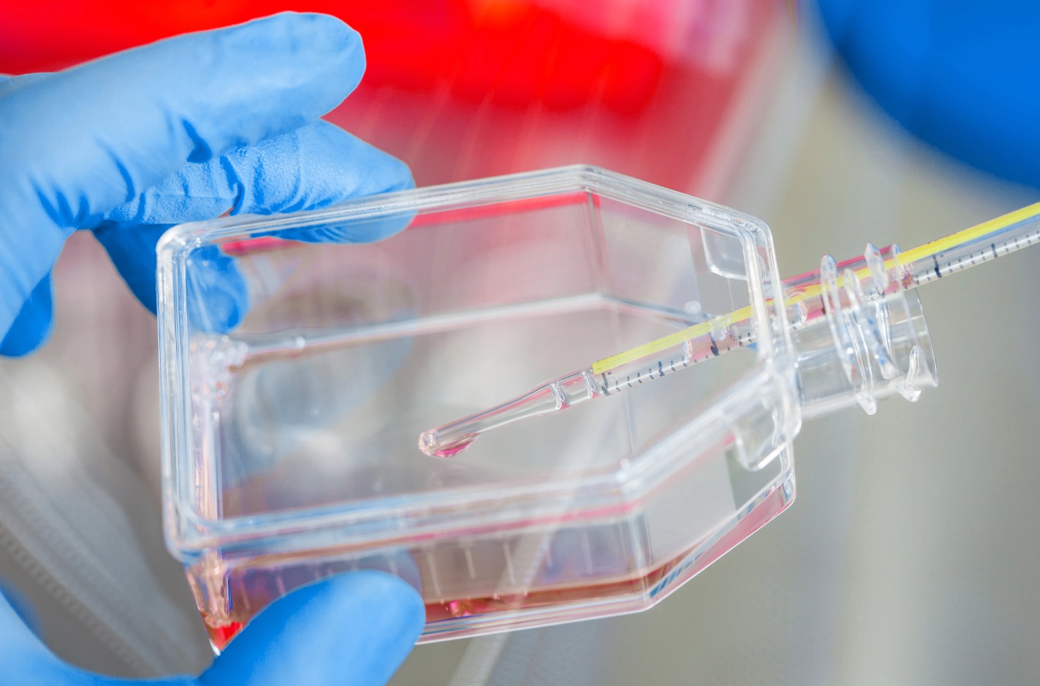Hidden Plasticware Factors Driving Cell Culture Contamination