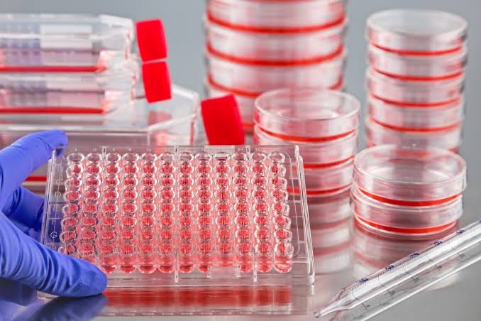 Precision plasticware reduces contamination and improves cell culture reliability