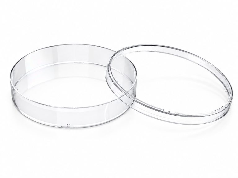 150 mm TC-Treated Cell Culture Dish, Sterile