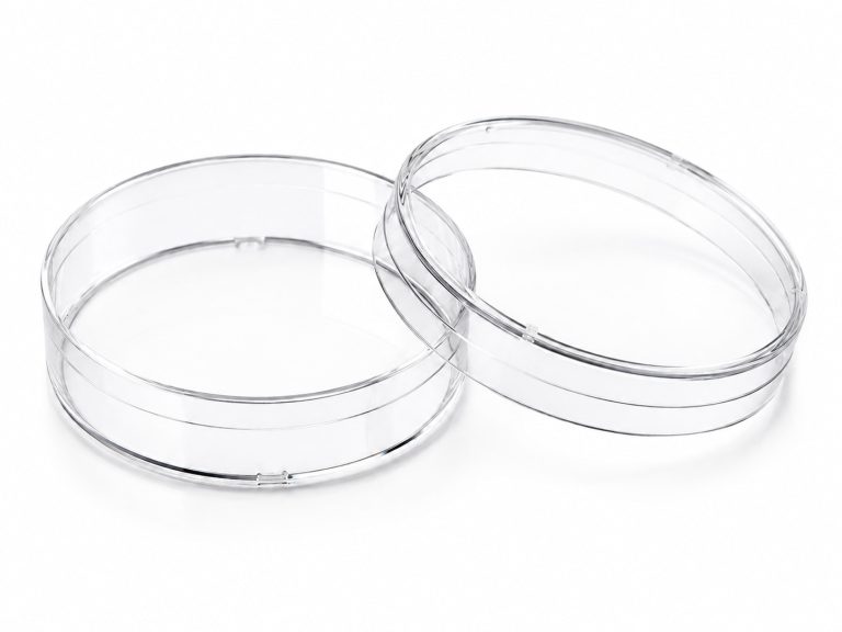 60 mm TC-Treated Cell Culture Dish, Sterile